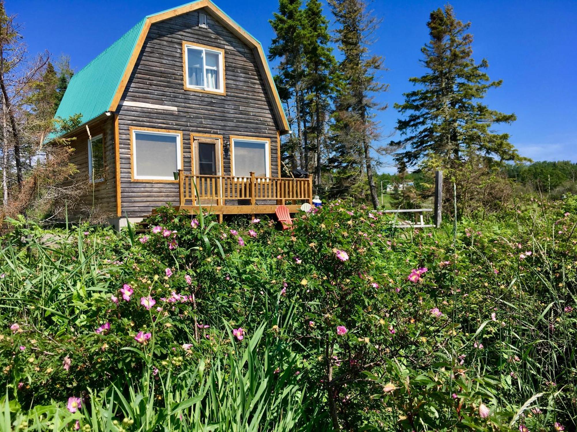 Chalets Du Bout Du Monde Gaspe Ngoại thất bức ảnh